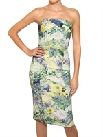 ERDEM - STRAPLESS PRINTED POWER MESH DRESS